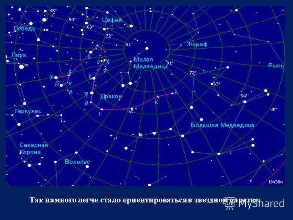 Малая Медведица на карте звездного неба
