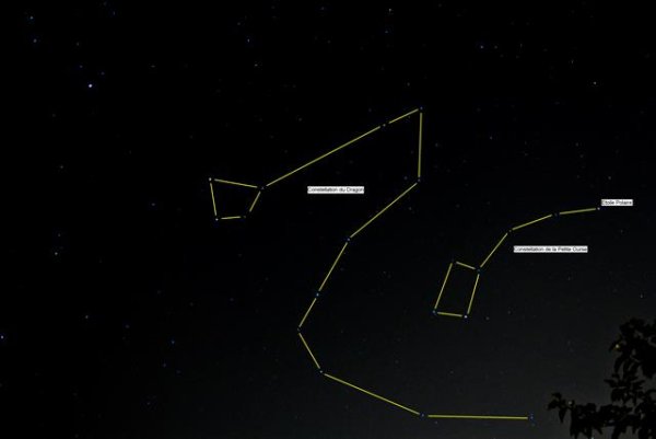 Главная звезда в созвездии дракона