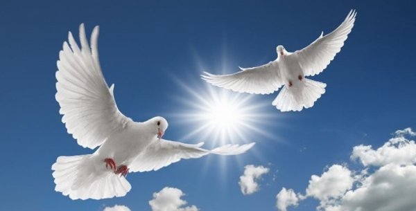 Под мирным небом