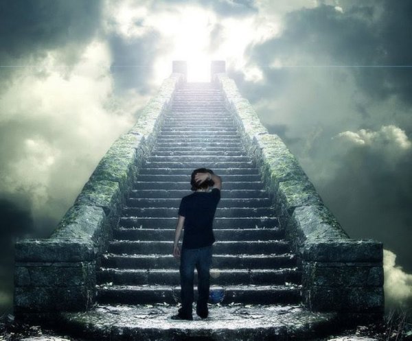 Лестница жизни