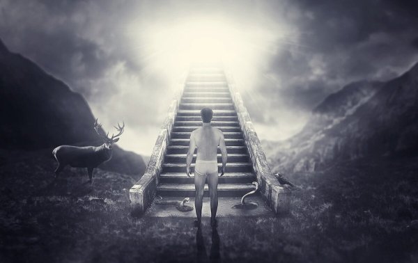 Лестница в небо