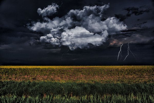 Гроза в поле