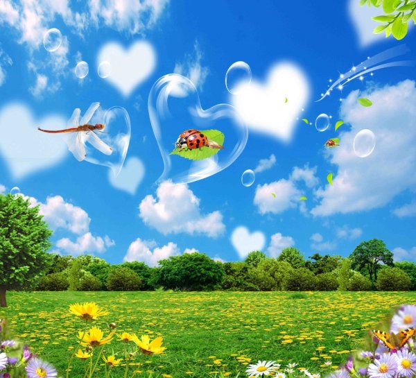 Солнечный денек