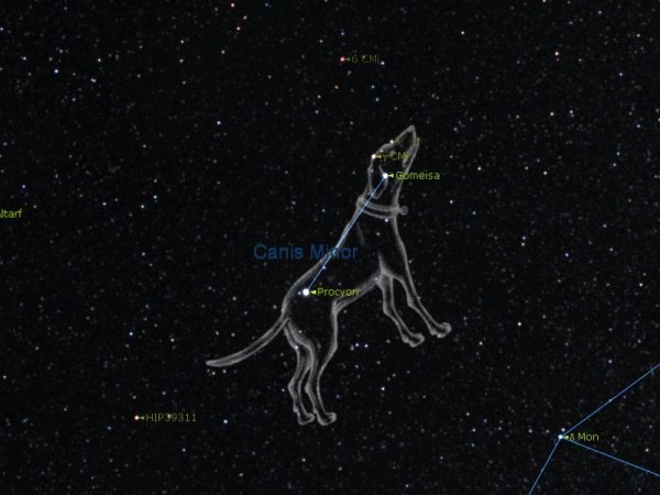 Canis Major Созвездие