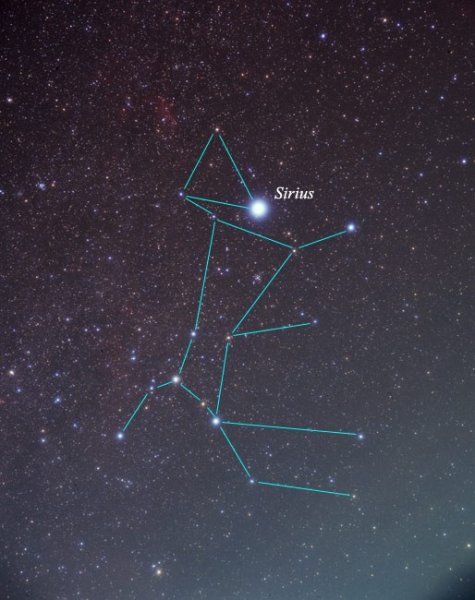 Canis Major Созвездие