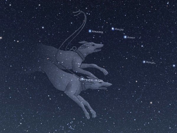 Созвездие гончие псы