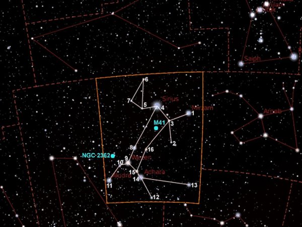Canis Major Созвездие