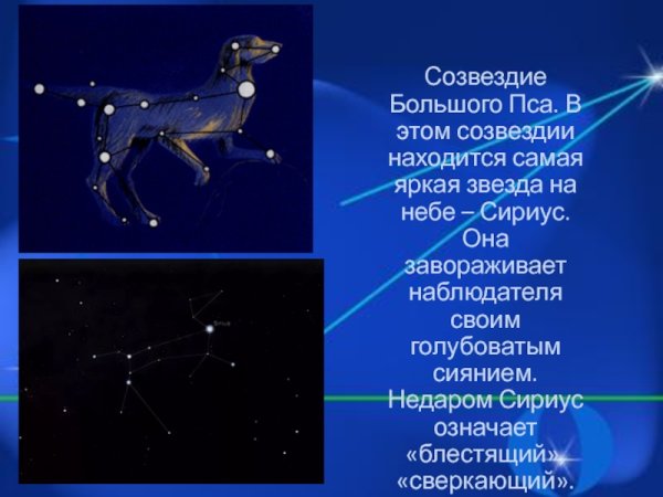 Созвездия большой пёс и малый пёс