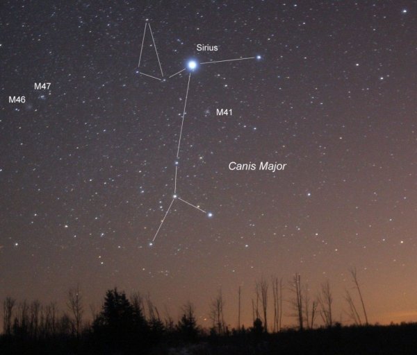 Canis Major Созвездие