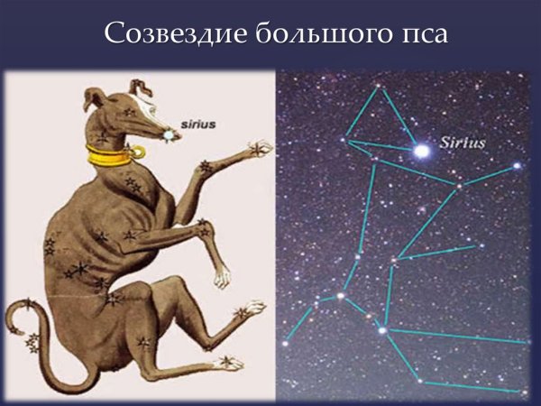 Сириус звезда большого пса