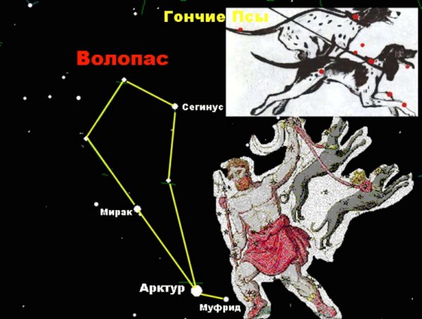 Созвездия Волопас и гончие псы