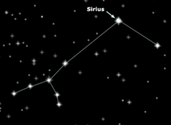 Canis Major Созвездие