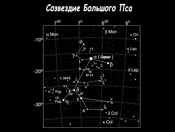 Canis Major Созвездие