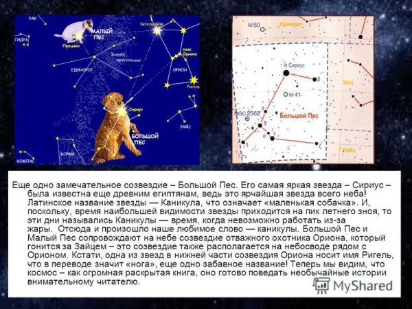Гончие псы какое созвездие. Гончие псы какое созвездие