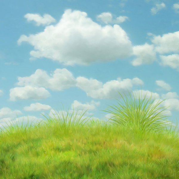 Мультяшная Поляна