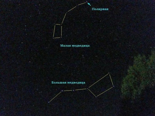 Созвездие большой медведицы и малой медведицы