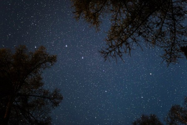 Большая Медведица Созвездие