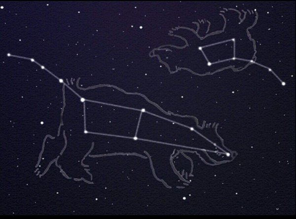 Полярная звезда в ковше малой медведицы