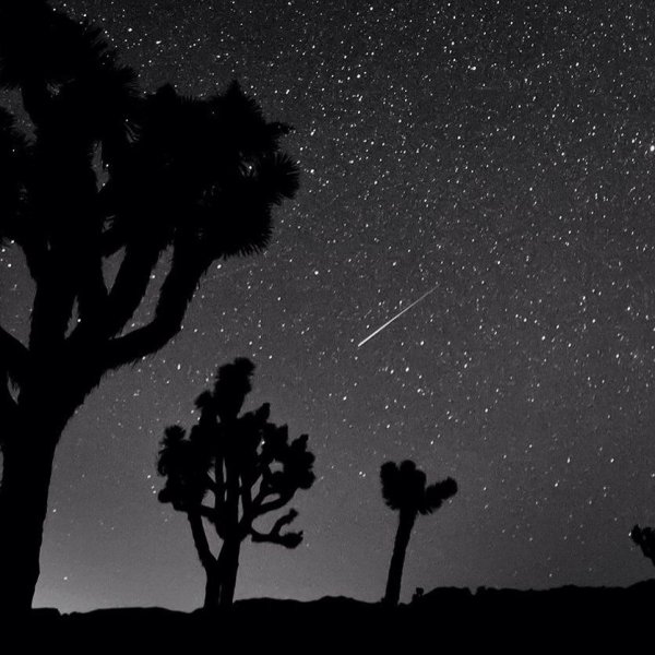 Эстетика черно-белого цвета