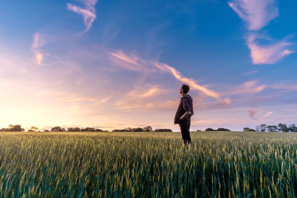 Человек в поле