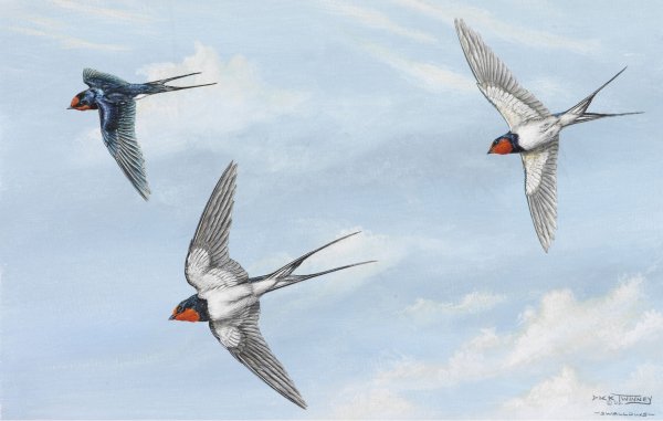 Три ласточки