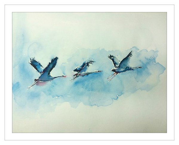 Птицы в небе акварель