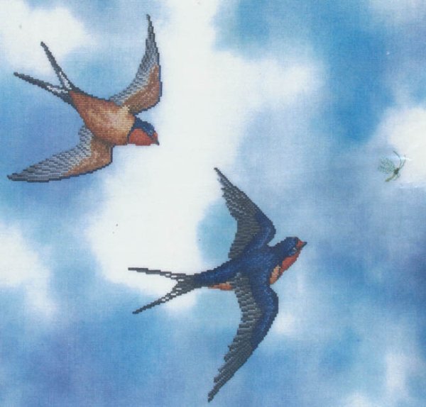 Ласточки в небе