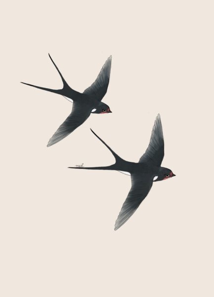 Ласточка в полете