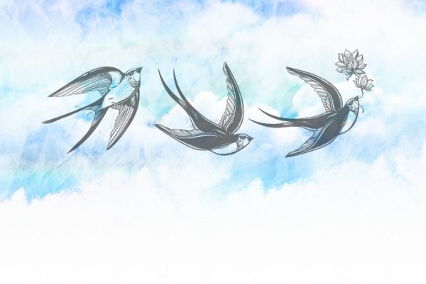 Ласточки фон