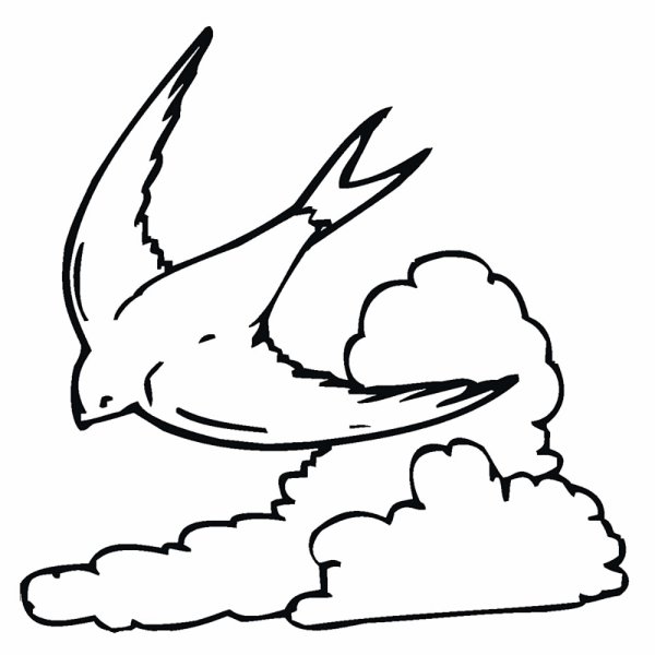 Ласточка раскраска