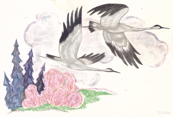 Птицы улетают на Юг вектор