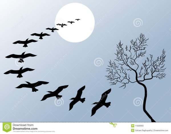 Голубое небо с журавлями