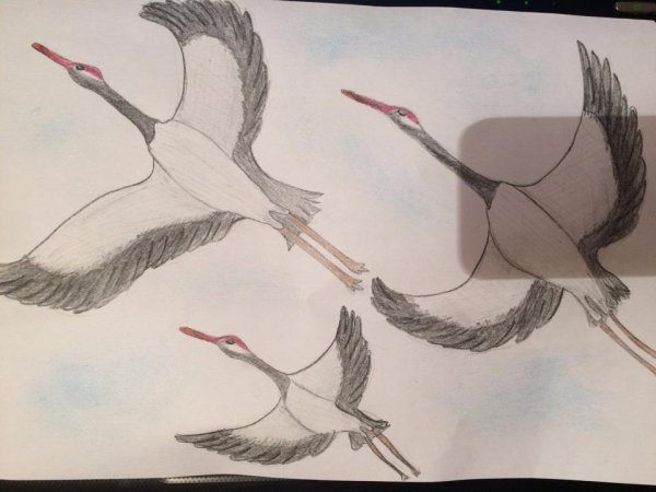 Журавлиный Клин живопись