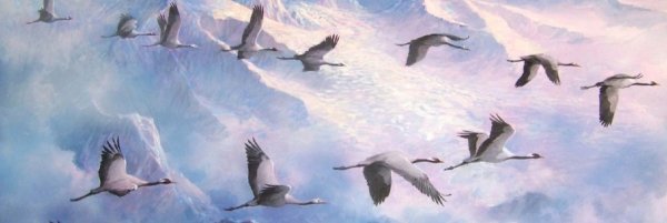 Красивый Аист