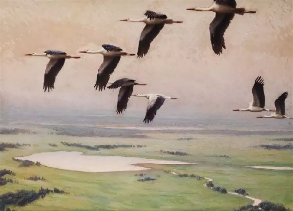 Улетают Журавли и. с. Соколов—Микитов иллюстрации