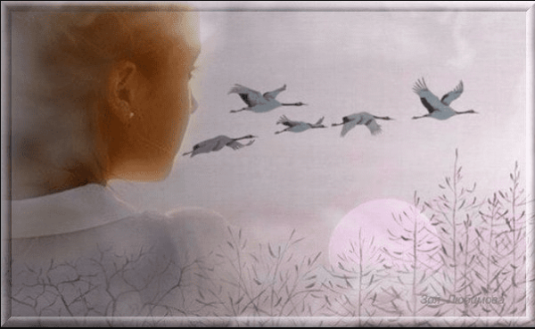 Природа Графика