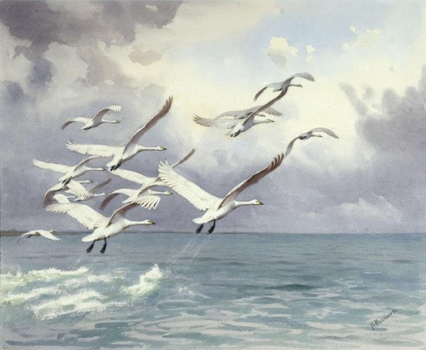 Живопись Аисты