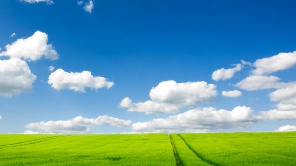 Зеленые Поляны