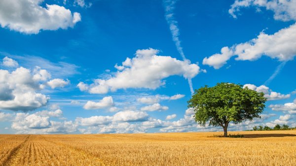 Небо с облаками