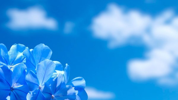 Море и небо