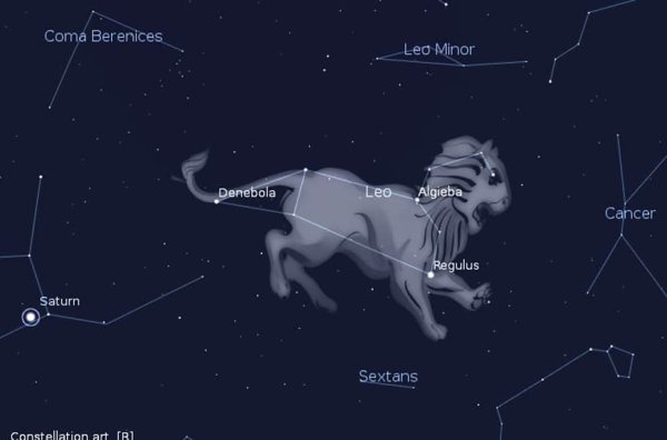 Созвездия зодиака Лев