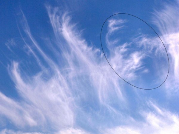 Чудо в небе