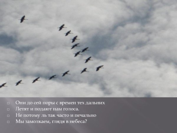 Они до сей поры с времен тех дальних летят и подают нам голоса