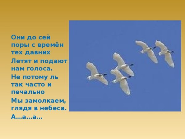 Глядя в небеса Журавли