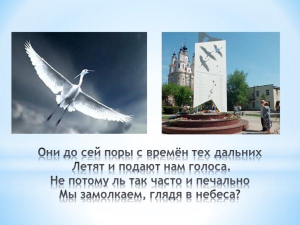 Дружат птицы в вышине