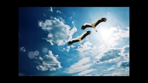 Так часто и печально мы замолкаем глядя в небеса