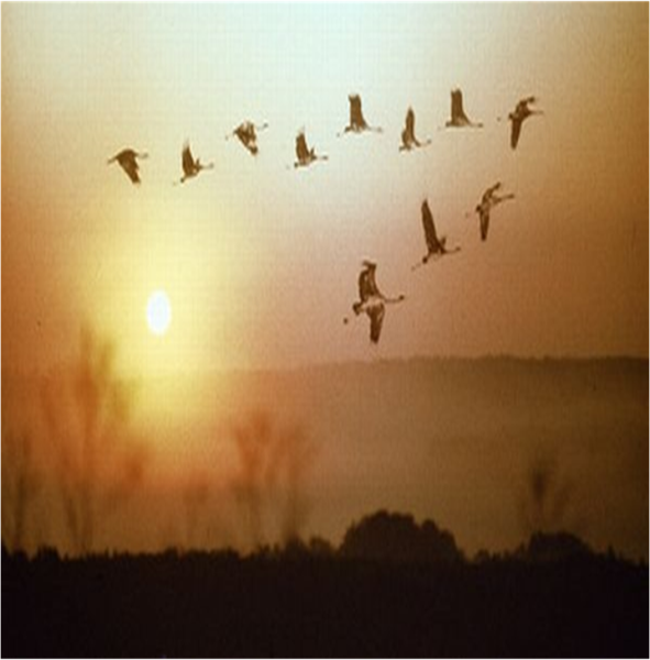 Белые шарики в небе