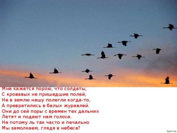 Журавли любовь