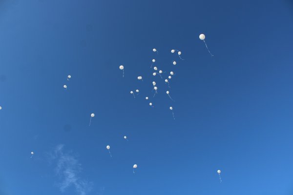 Летят Журавли