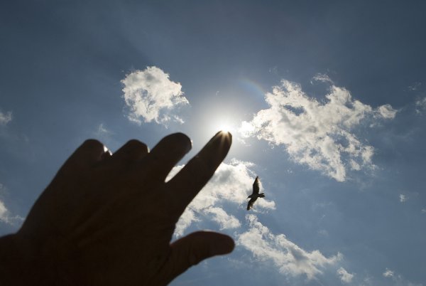 Эдуард Хуснутдинов Журавли